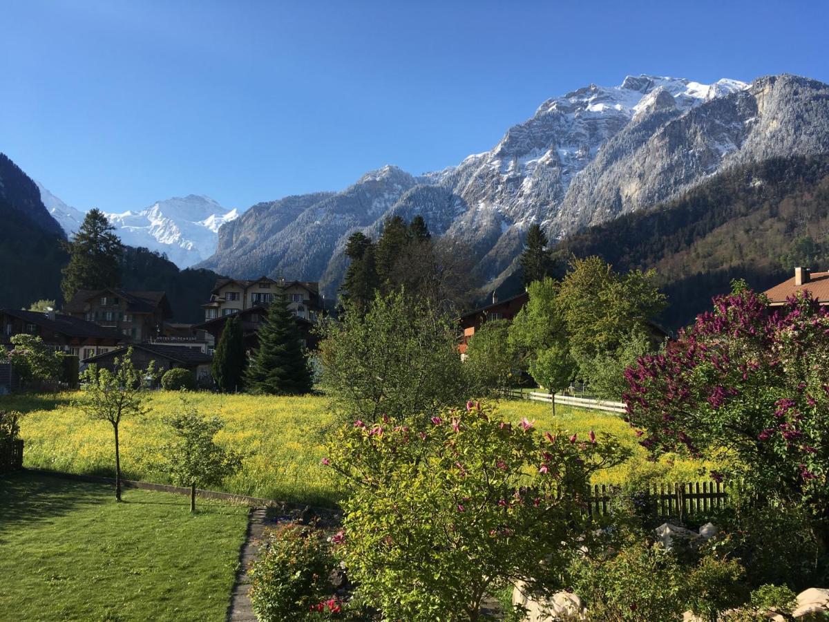 Holidayapartment Sydach Wilderswil Exterior foto